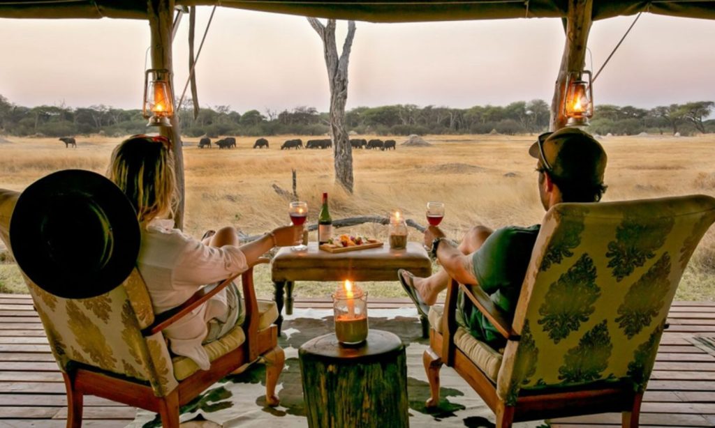 Best Time for Honeymoon Safari