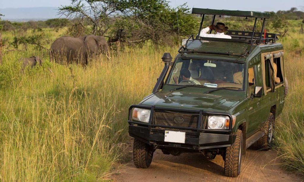 Tanzania Safari Cost