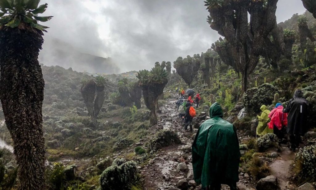 Kilimanjaro Rainy Seasons