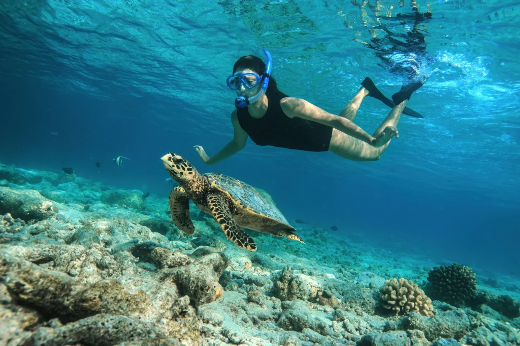 Things to Do in Zanzibar