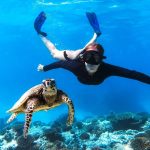 Pemba Island