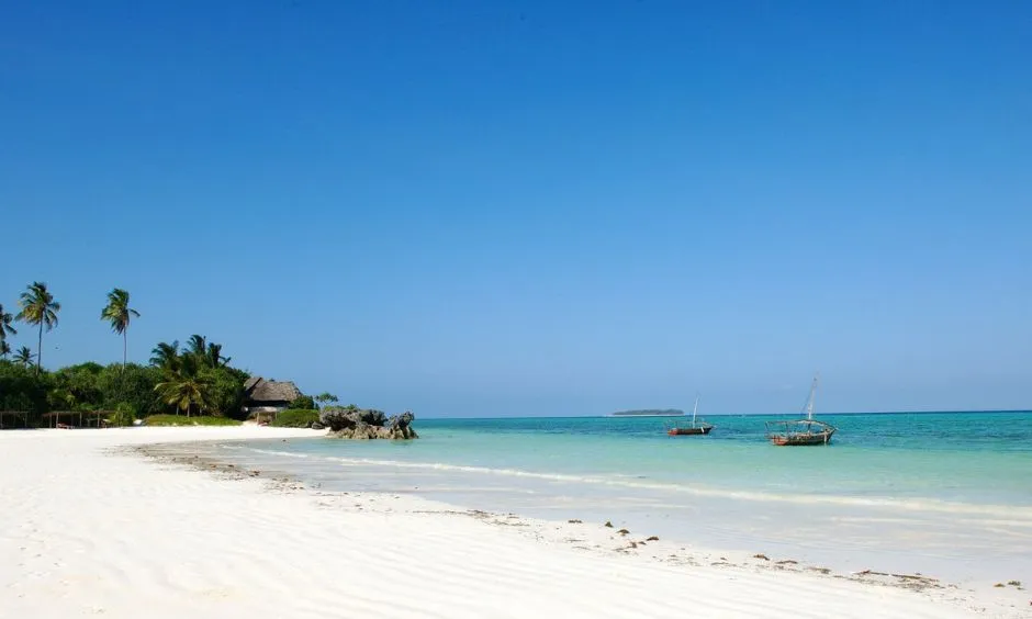 Best Time to Visit Zanzibar