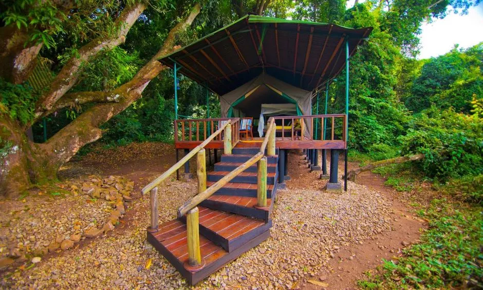 Budget-Friendly Campsites