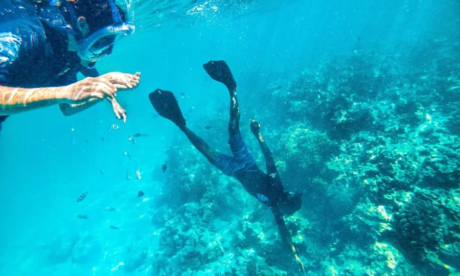 Diving and Snorkeling