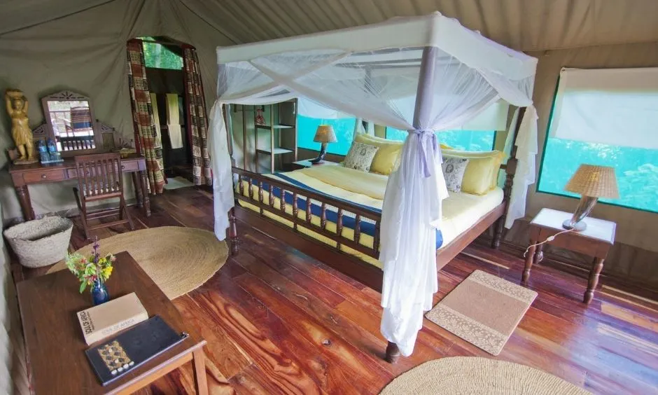 Gombe Park Accommodation