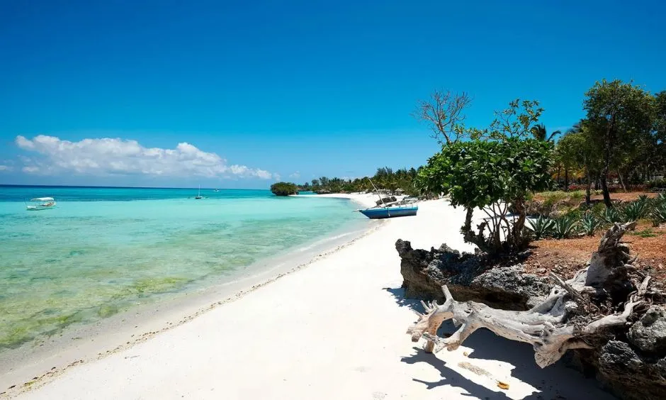 Pemba Island Zanzibar