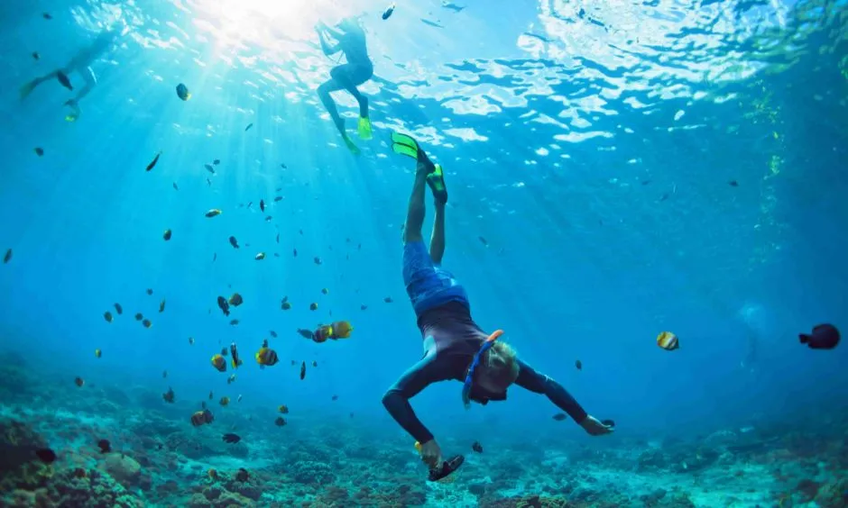 Snorkeling Scuba Diving