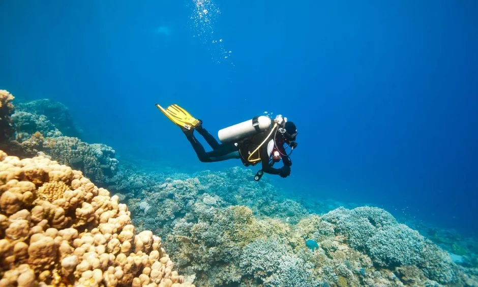 Snorkeling and Diving