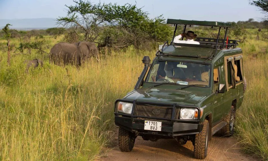 Best Tanzania Safari Cost