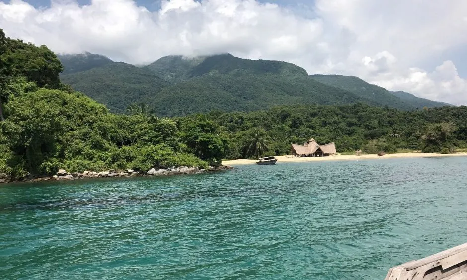Best Time for a Mahale Safari