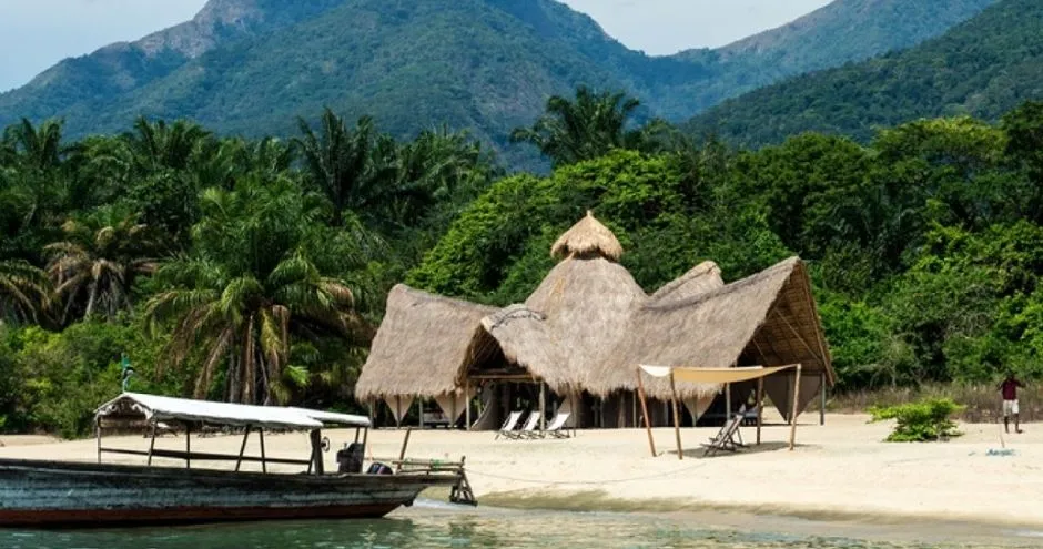Best Time to Visit Mahale Mountains National Park
