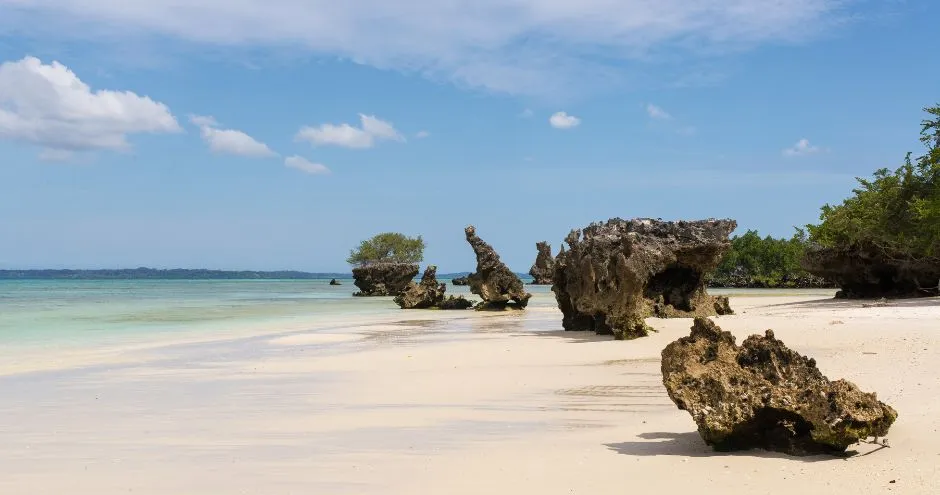 Hidden Gems in Zanzibar