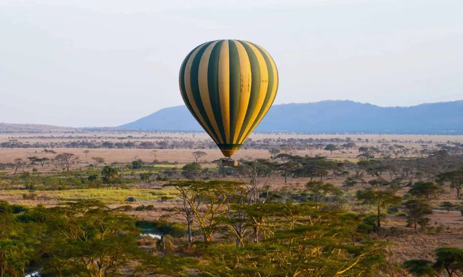 Hot Air Balloon Safaris