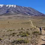 Kilimanjaro Climbing Experience