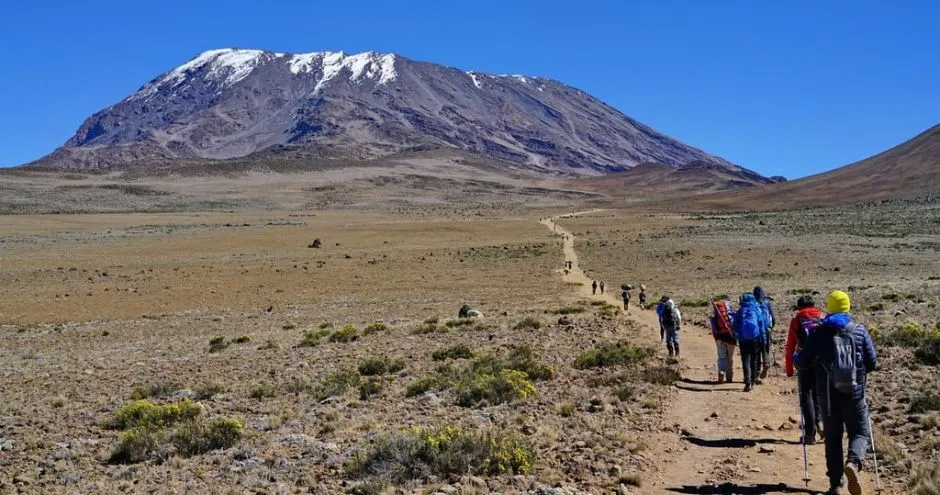 Kilimanjaro Climbing Experience