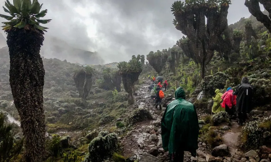 Kilimanjaro Rainy Seasons