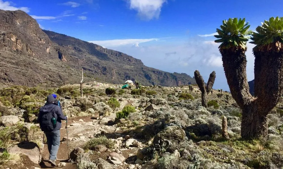 Kilimanjaro Routes