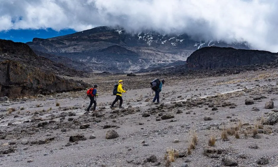 Kilimanjaro Trek