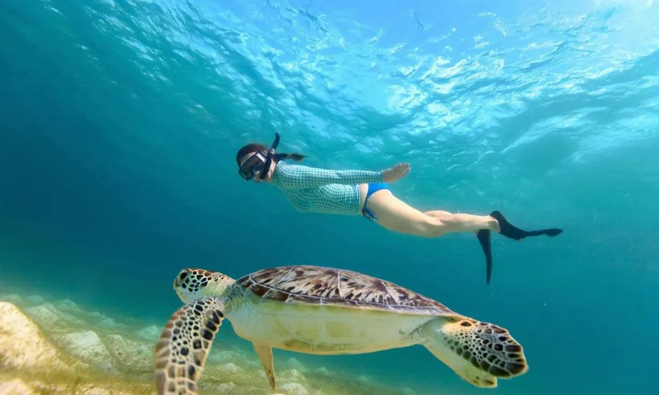 Snorkelling in Zanzibar