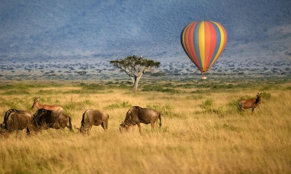 Tanzania Hot Balloon Safari