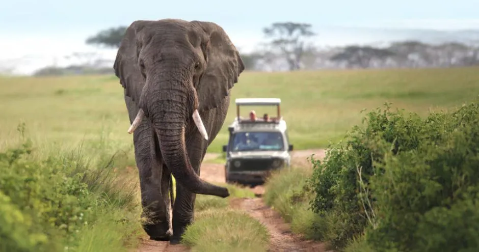 Tanzania Safari Cost